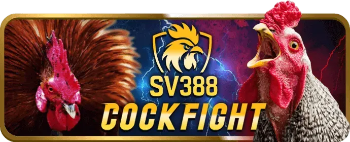 Tin tức cá cược 35win code